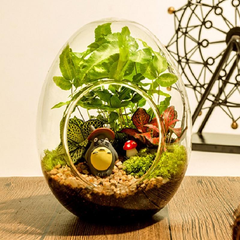 Phụ Kiện Terrarium Cầu thủy tinh DIY trồng rêu, trang trí mini sáng tạo (TBS-79)