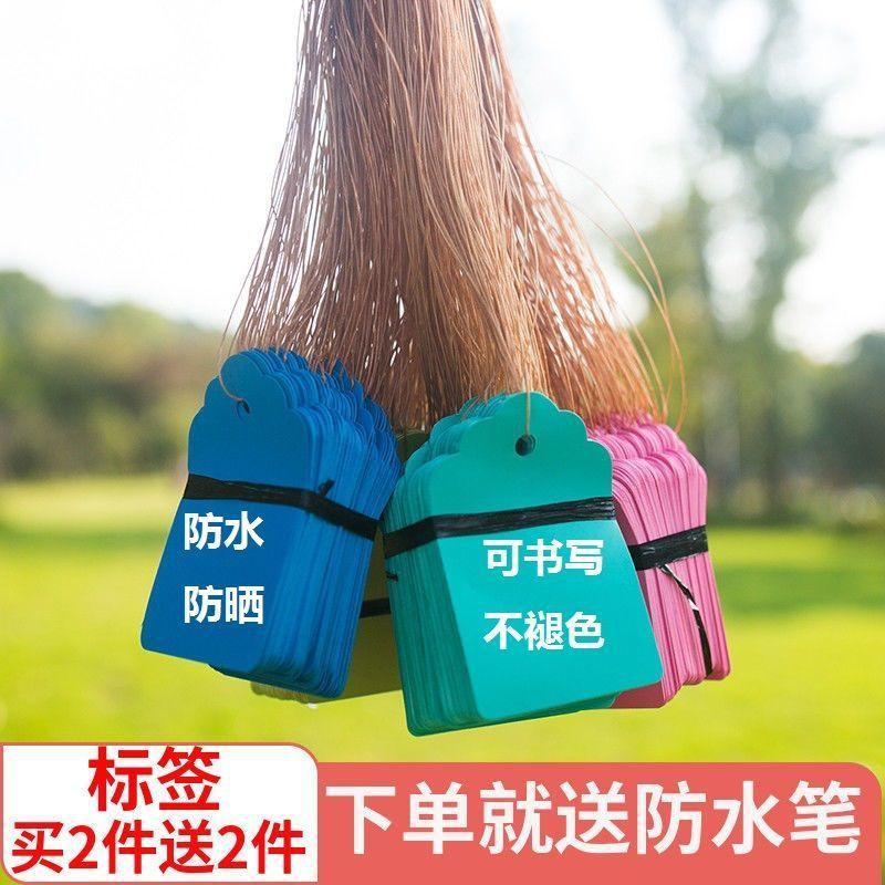 Phụ Kiện Terrarium Thẻ đánh dấu cây chống nước, bền màu cho vườn (TBS-20)