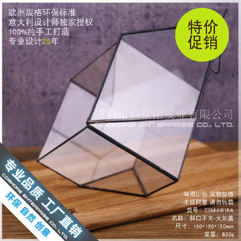 Chậu Đa Giác Nhà kính vuông lớn nắp kính, rêu cảnh (DG-73)