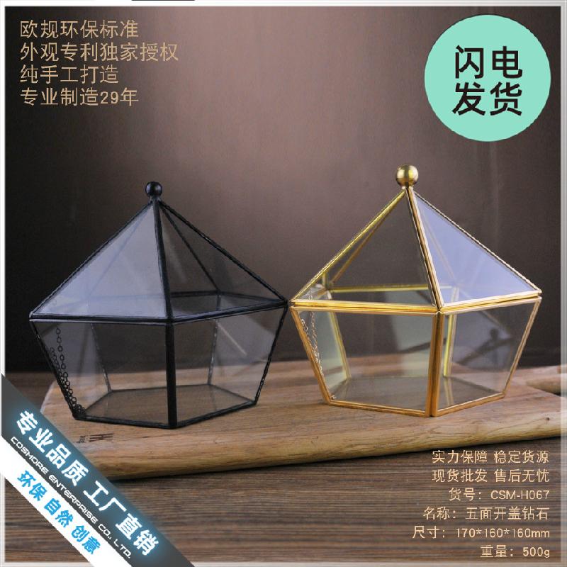 Chậu Đa Giác Nhà kính kim cương Terrarium mini (DG-20)