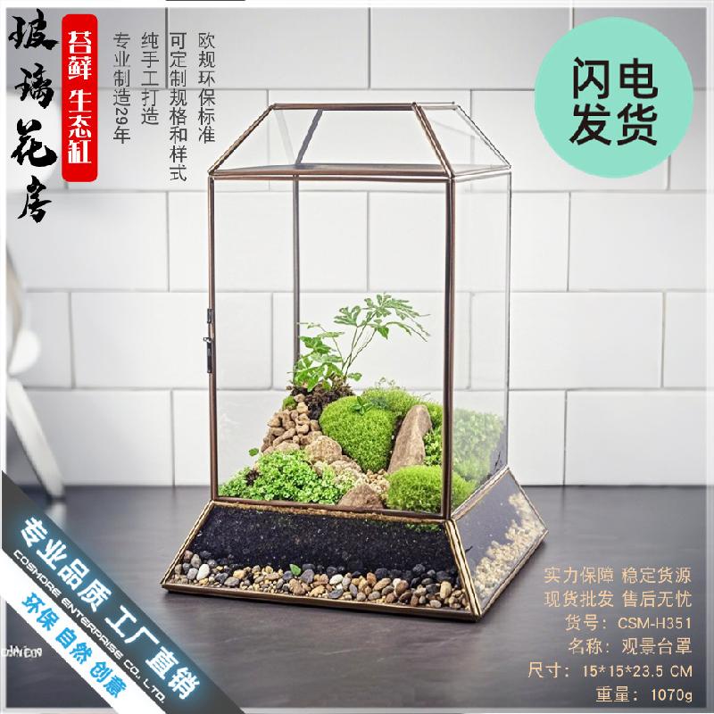 Chậu Đa Giác Bình sinh thái rêu cảnh DIY, bể rừng mini (DG-75)
