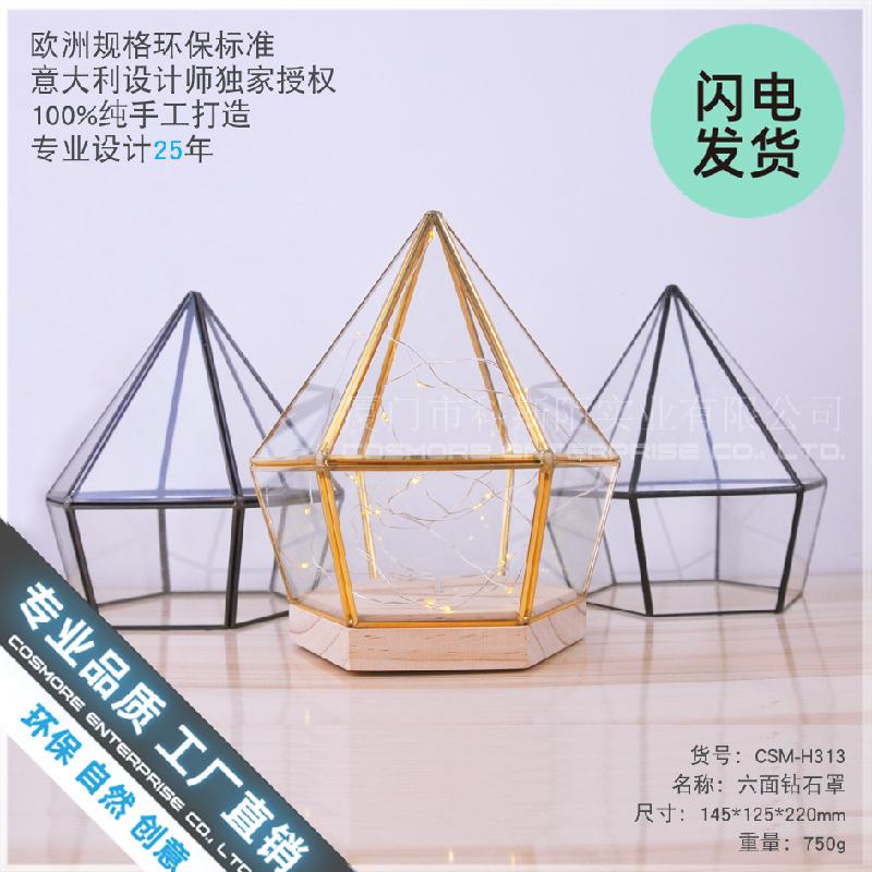 Chậu Đa Giác Chụp kính đế gỗ lục giác trang trí mô hình (DG-138)