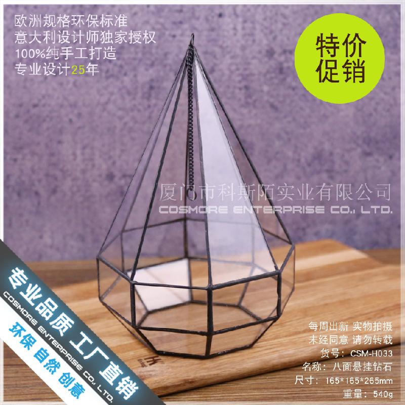 Chậu Đa Giác Bể rừng mưa Terrarium lớn (DG-218)