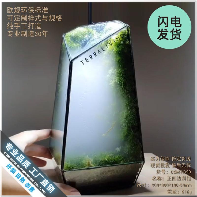 Chậu Đa Giác Bình sinh thái cây xanh mini (DG-10)