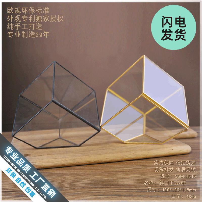 Chậu Đa Giác Nhà kính vuông Terrarium hoa bất tử (DG-227)