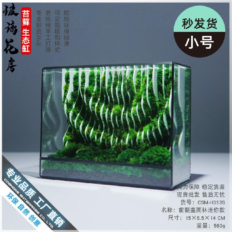 Chậu Đa Giác Bể kính rêu cảnh thủy sinh (DG-25)