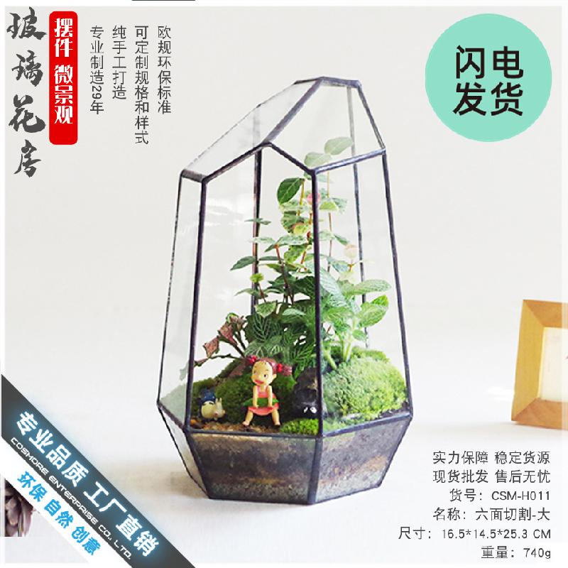 Chậu Đa Giác Bình kính Terrarium rêu cảnh (DG-22)