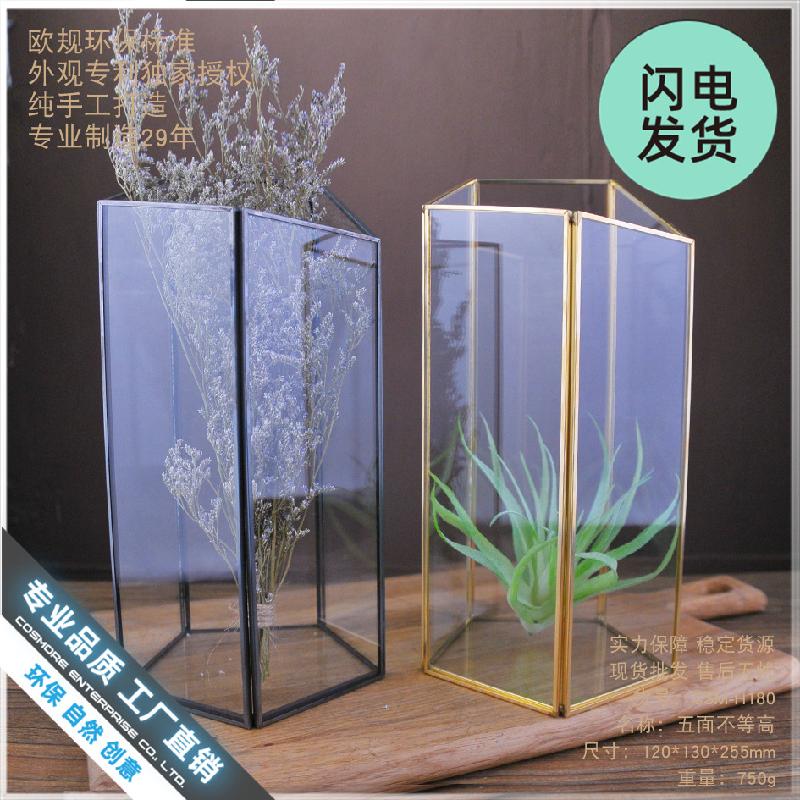 Chậu Đa Giác Chụp kính decor phòng khách, quán cafe (DG-132)