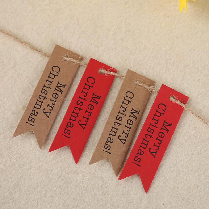 Phụ Kiện Terrarium Dây gai tự nhiên, bó 100 sợi, mỗi sợi dài 1 mét (TBS-11)