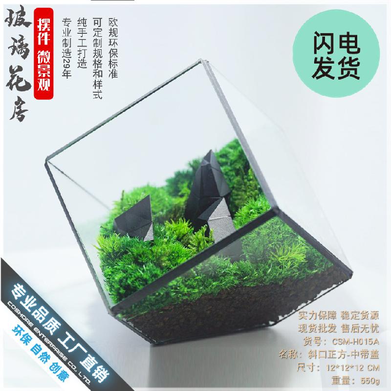 Chậu Đa Giác Nhà kính vuông nghiêng mini (DG-35)