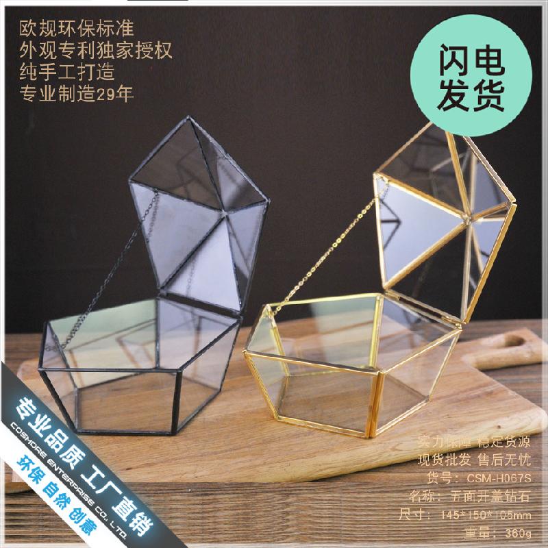 Chậu Đa Giác Hộp kính hoa bất tử mini, hộp quà sinh nhật (DG-174)