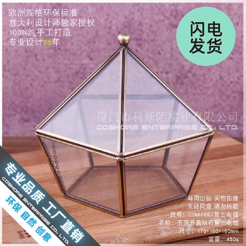 Chậu Đa Giác Hộp kính trang sức vintage, nhà kính hoa bất tử (DG-191)