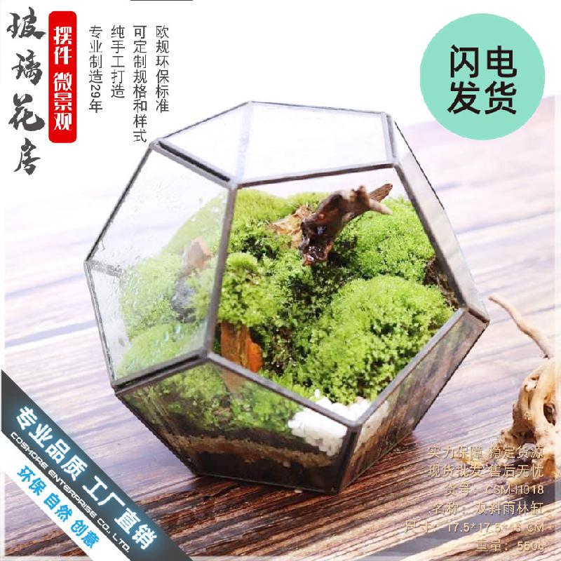 Chậu Đa Giác Nhà kính 12 mặt Terrarium rêu cảnh (DG-17)