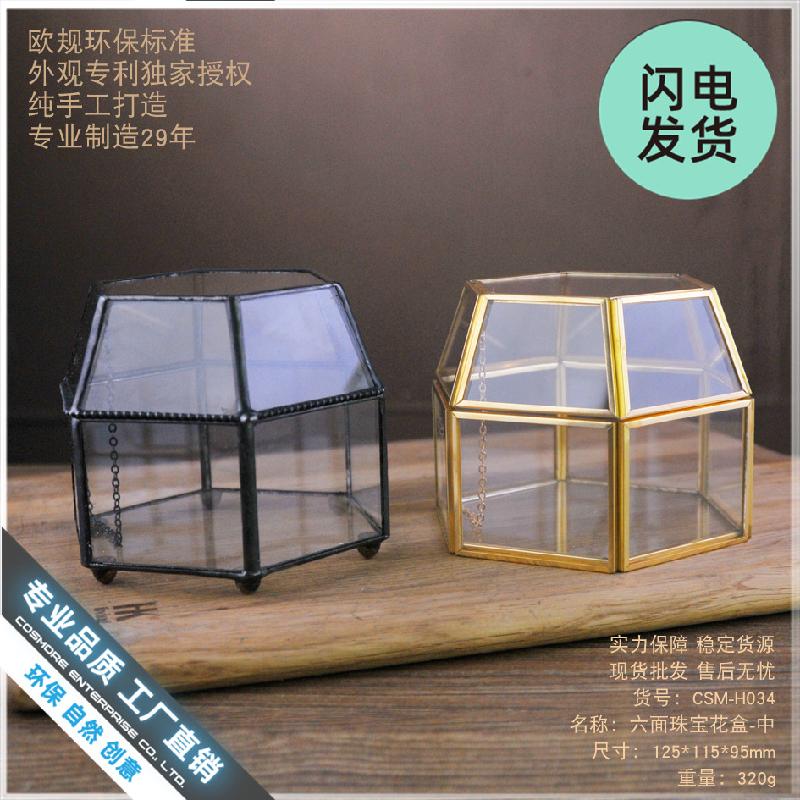 Chậu Đa Giác Hộp kính 6 mặt Terrarium sen đá (DG-217)
